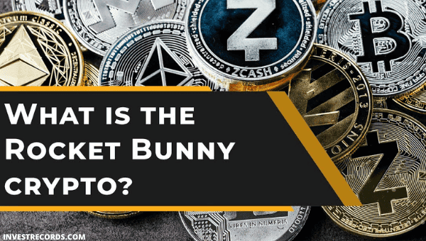 rocket bunny crypto