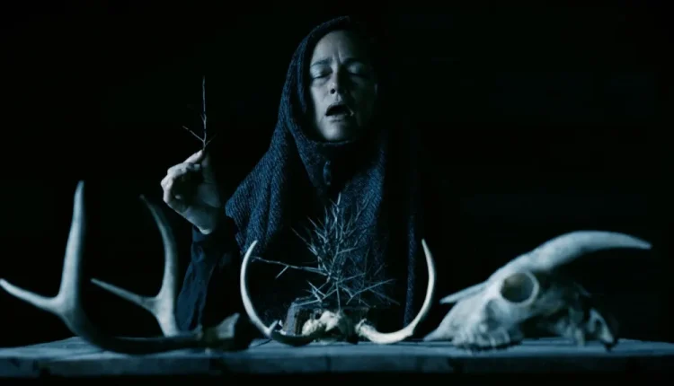 Mother of Flies Review