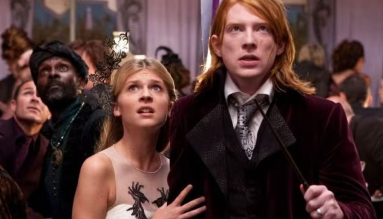 Harry Potter TV Remake