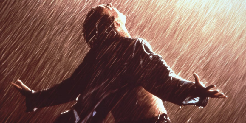 Andy Dufresne in The Shawshank Redemption