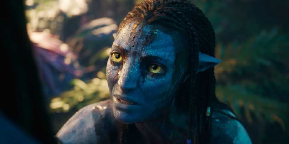 Neytiri looks up at Jake in the trailer for Avatar Fire and Ash